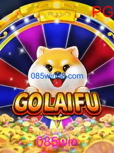 GoLaiFu